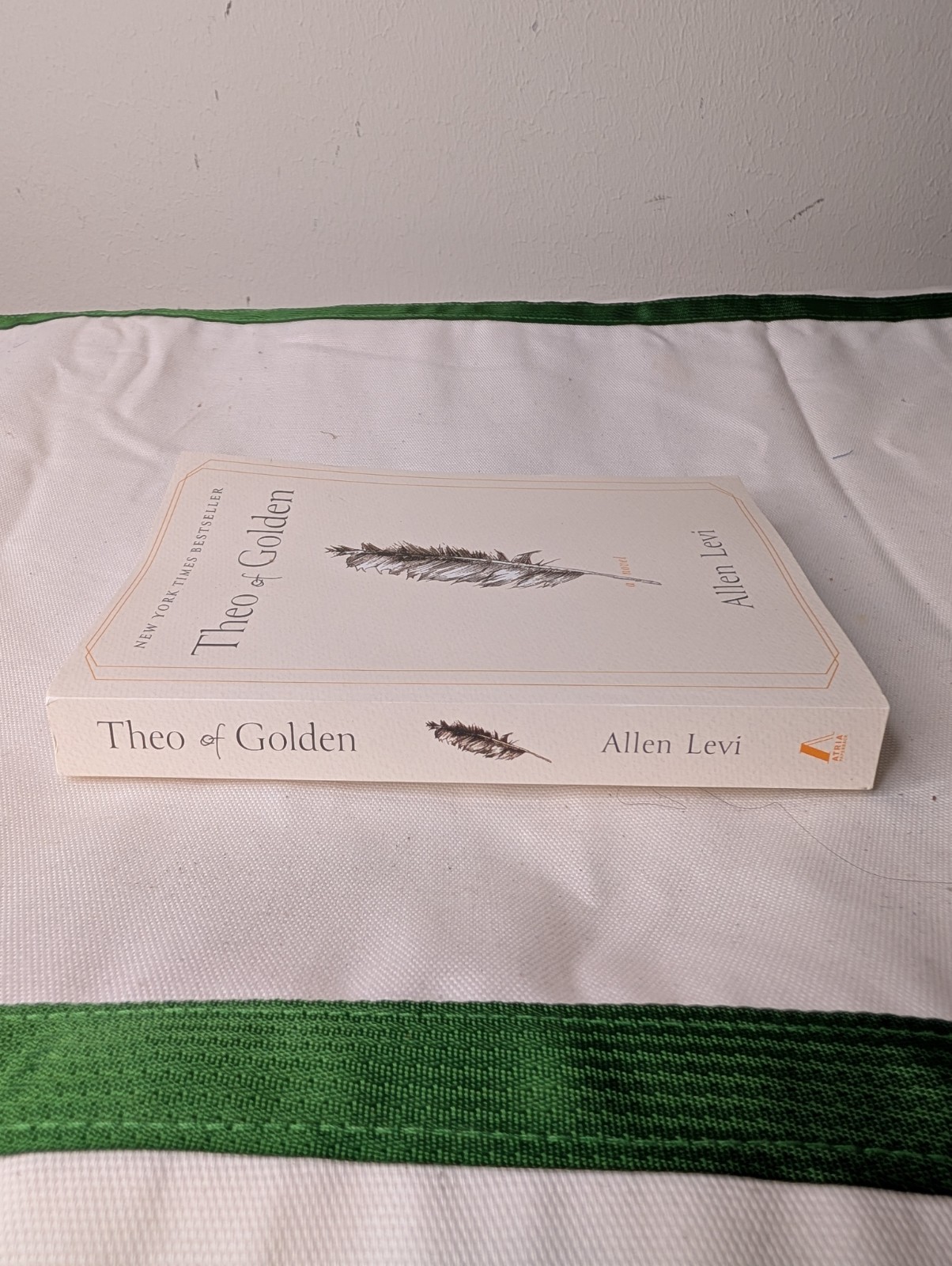 Theo of Golden : A Novel by Allen Levi (2025, Trade Paperback)